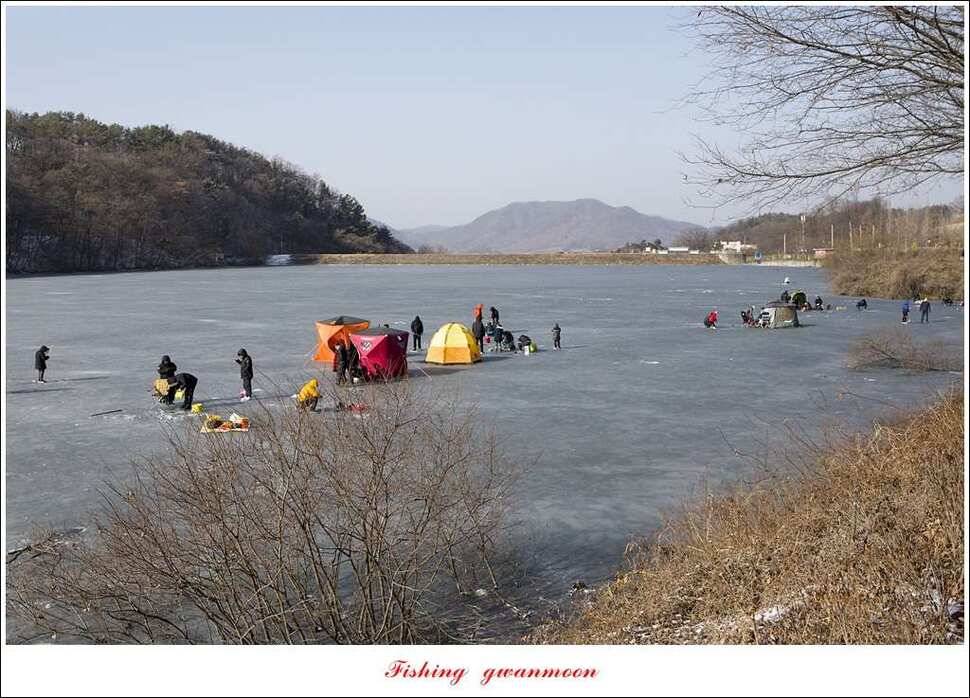 충주호 겨울 낚시빙어 낚시 (조황조행기 - 특파원조황)