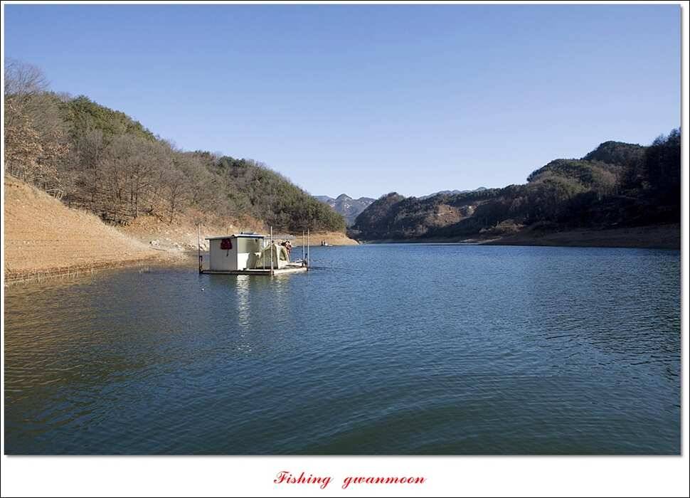 실리곡한버들 월척 및 대형 잉어 조황 (조황조행기 - 특파원조황)