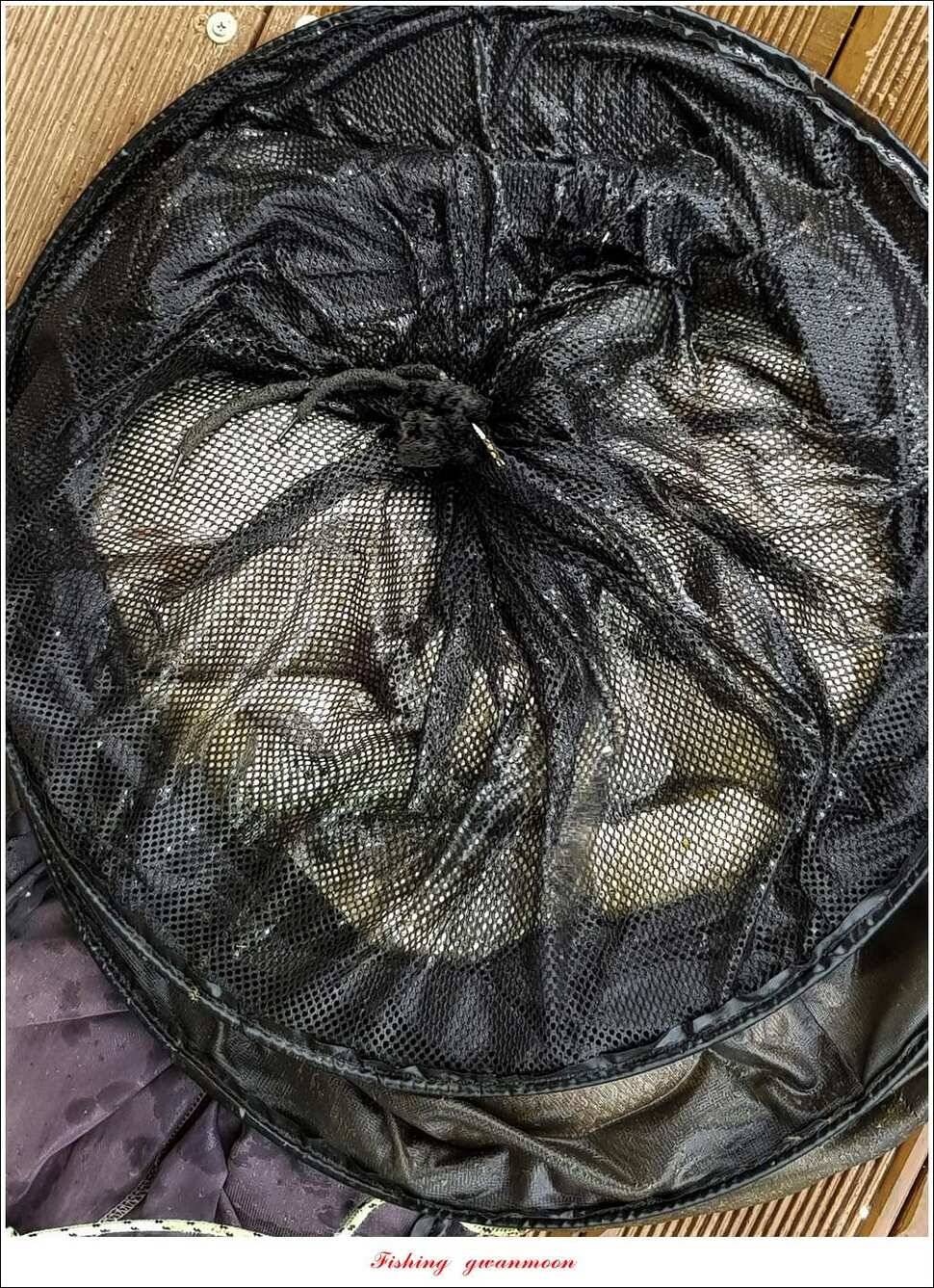 늘푸른실리곡한버들 월척 조황 (조황조행기 - 특파원조황)