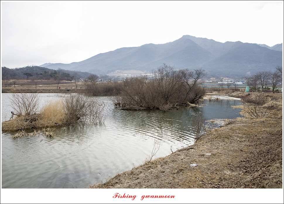 충주괴산권 물낚시 (조황조행기 - 특파원조황)