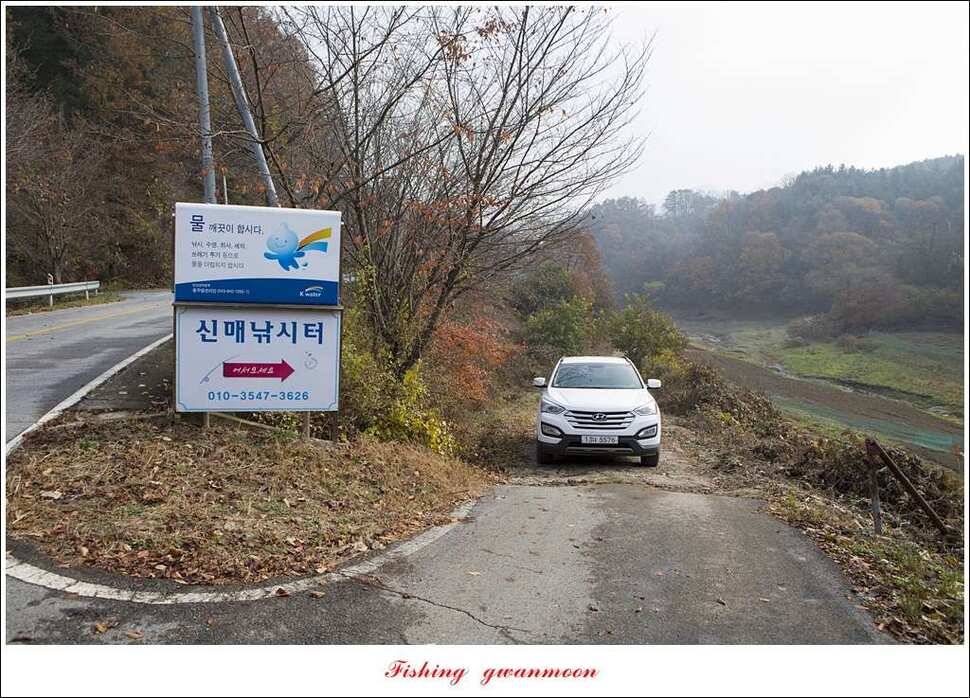 신매 혹부리 43 cm한버들 월척 조황 (조황조행기 - 특파원조황)