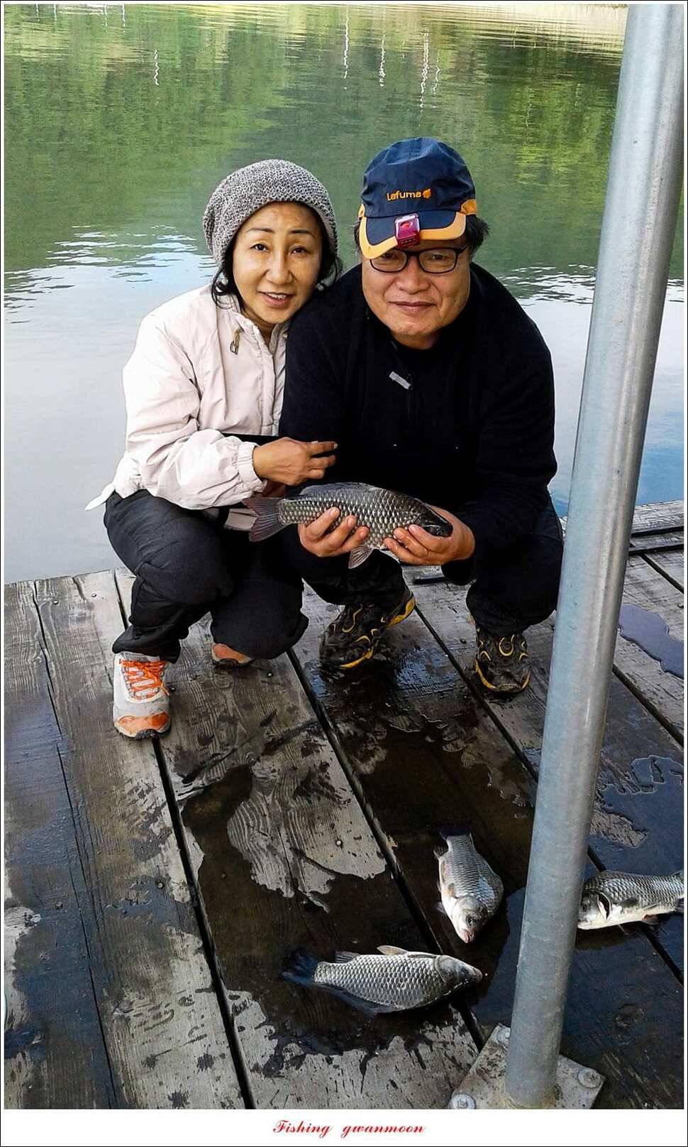 돌감 42cm한버들늘푸른병호달천강 월척 조황 (조황조행기 - 특파원조황)