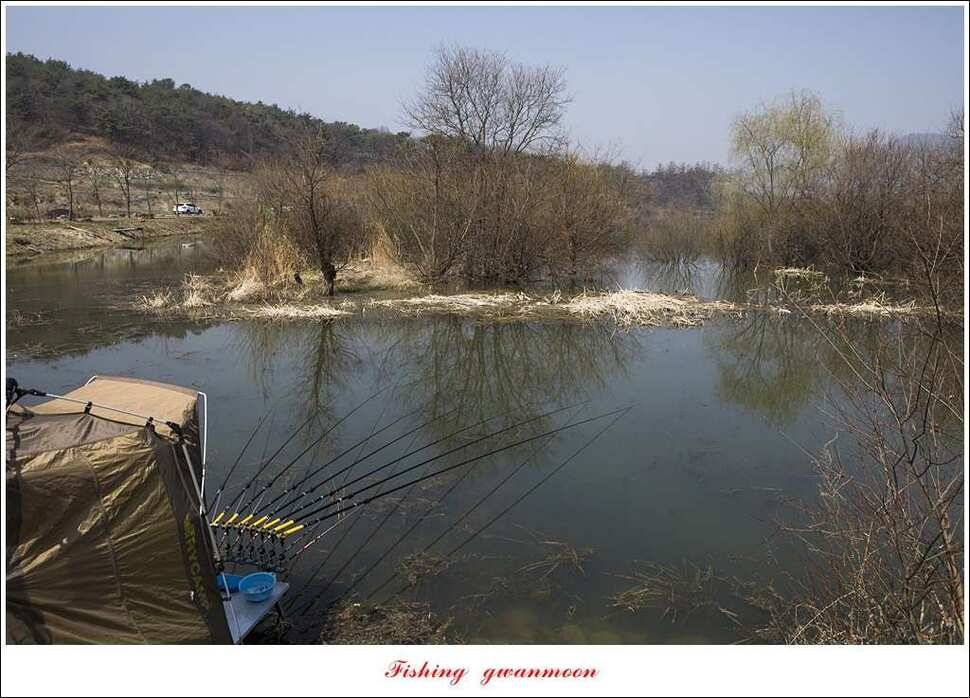 충주괴산권 조황 (조황조행기 - 특파원조황)
