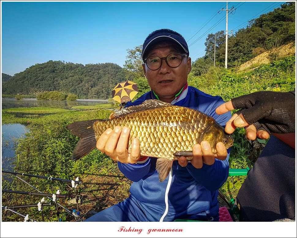 화곡지 사짜실리곡 월척 및 마릿수 조황 (조황조행기 - 특파원조황)