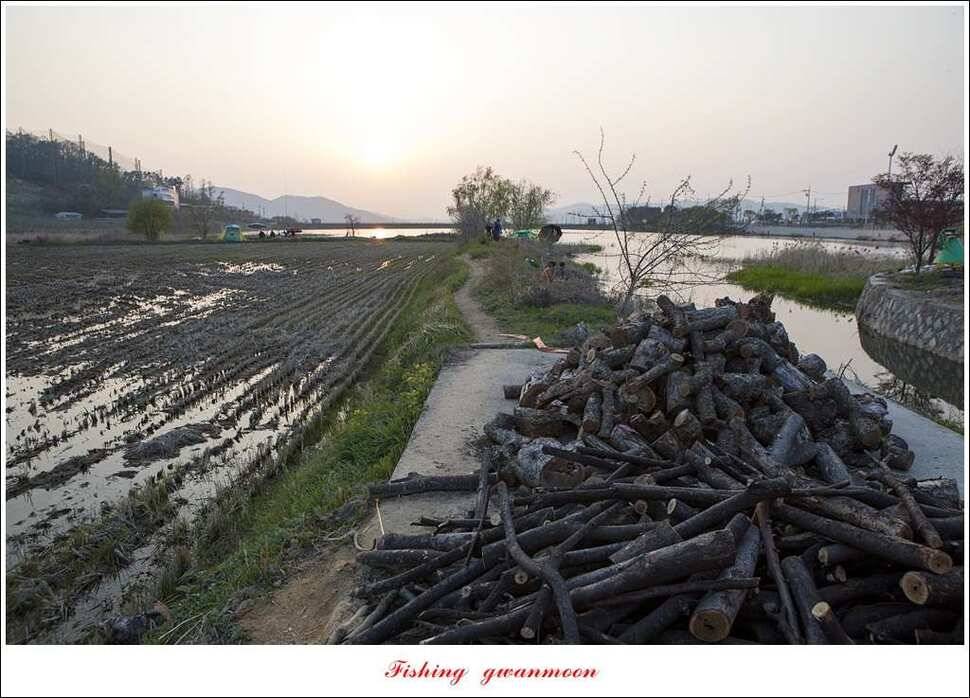 함지 마릿수 사짜실리곡 마릿수 월척 (조황조행기 - 특파원조황)