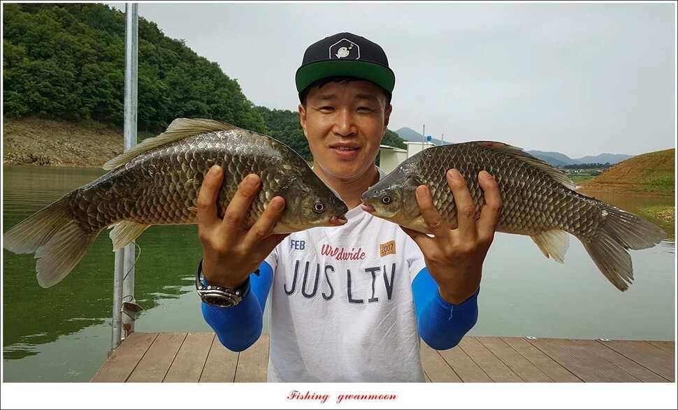 충주호 오름수위 대박 조황 (조황조행기 - 특파원조황)