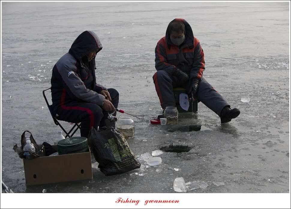 충주권 빙어 낚시 (조황조행기 - 특파원조황)