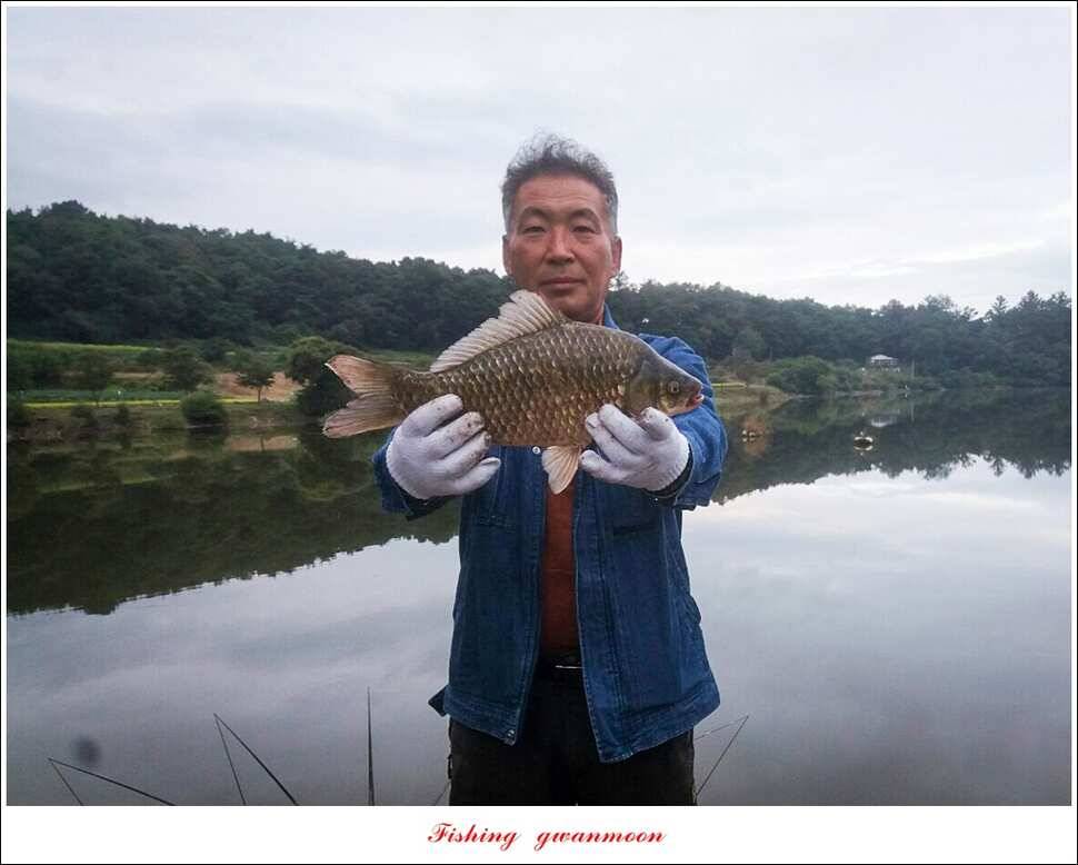 칠성지 사짜화곡지 신매 실리곡 월척 조황 (조황조행기 - 특파원조황)