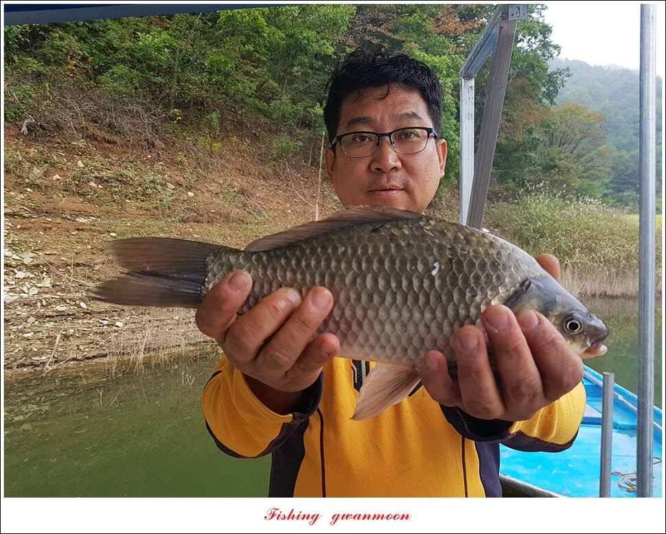 병호 445 cm실리곡돌감한버들노지조황 (조황조행기 - 특파원조황)