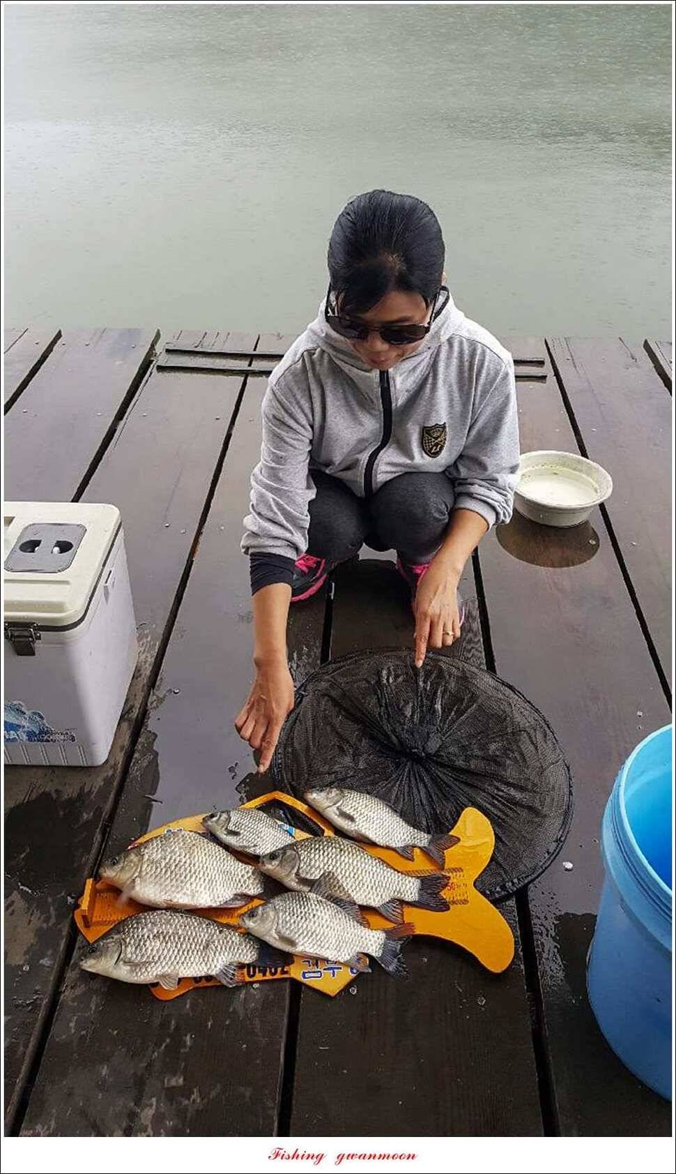 윤 낚시터 41 cm 늘푸른 16 kg 장어실리곡 37 cm한버들 월척 조황 (조황조행기 - 특파원조황)