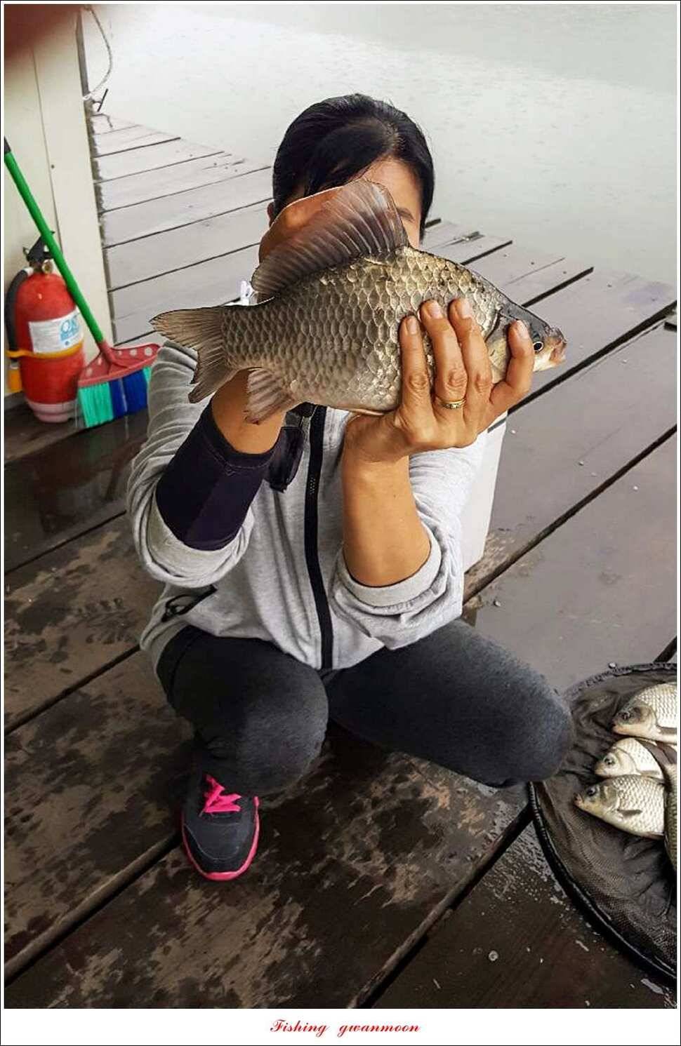 윤 낚시터 41 cm 늘푸른 16 kg 장어실리곡 37 cm한버들 월척 조황 (조황조행기 - 특파원조황)