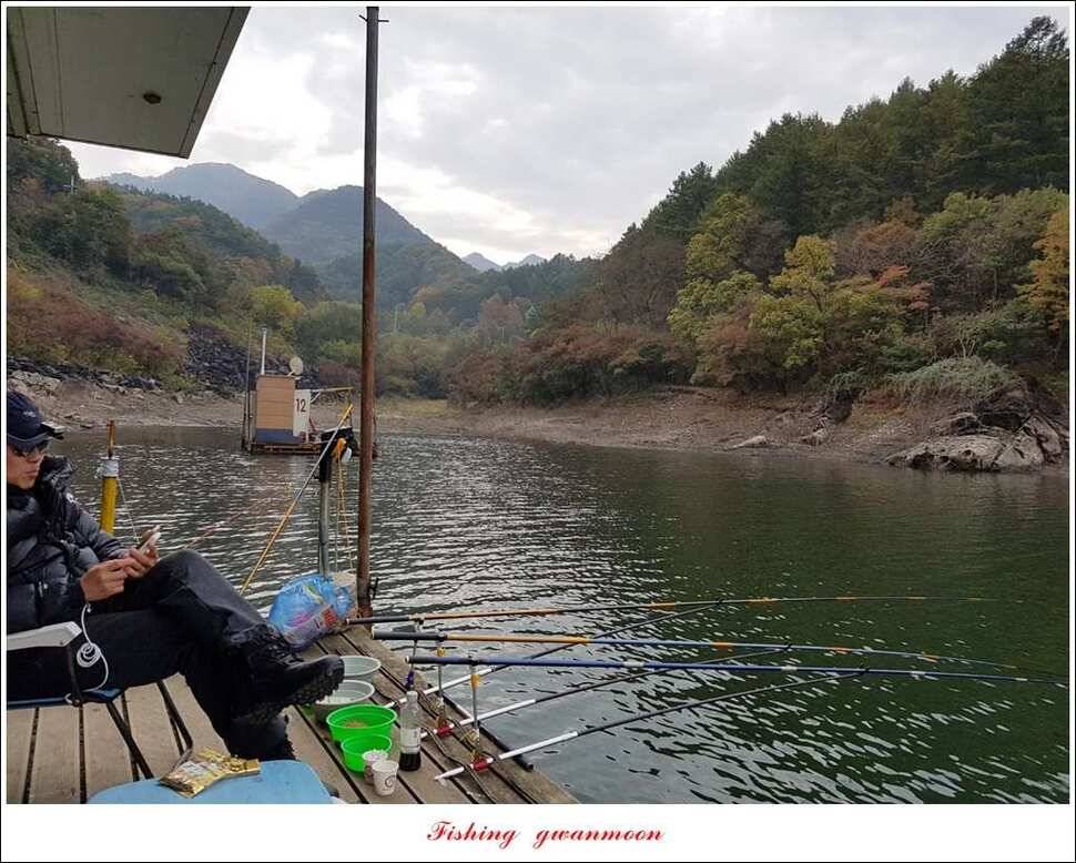 화곡지 사짜늘푸른 허리급달천강 월척 (조황조행기 - 특파원조황)