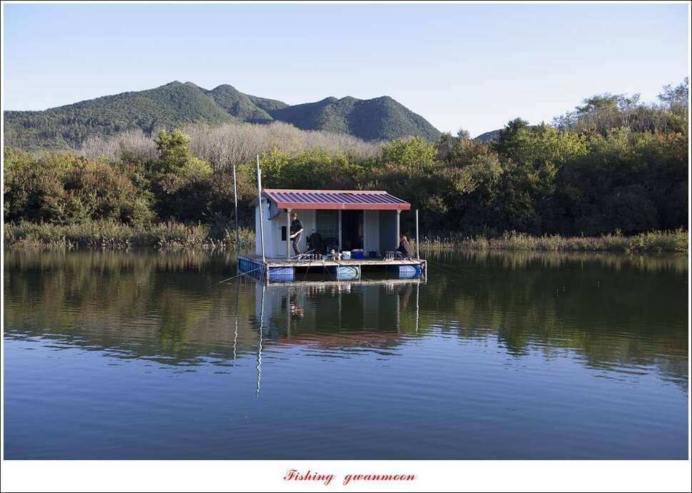 돌감 월척실리곡 월척 조황 (조황조행기 - 특파원조황)