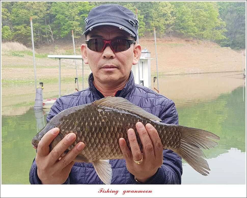 충주호 사짜 대박칠성지 사짜 (조황조행기 - 특파원조황)