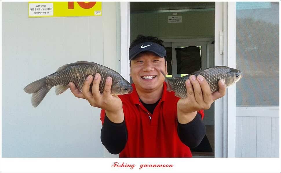 한버들 455 cm청풍 신리 사짜 및 월척 대박실리곡 월척 조황 (조황조행기 - 특파원조황)