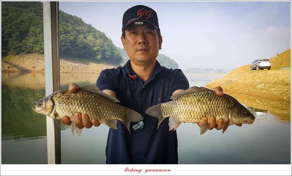 청풍 신리돌감 좌대 월척 조황 추평지 소식 (조황조행기 - 특파원조황)