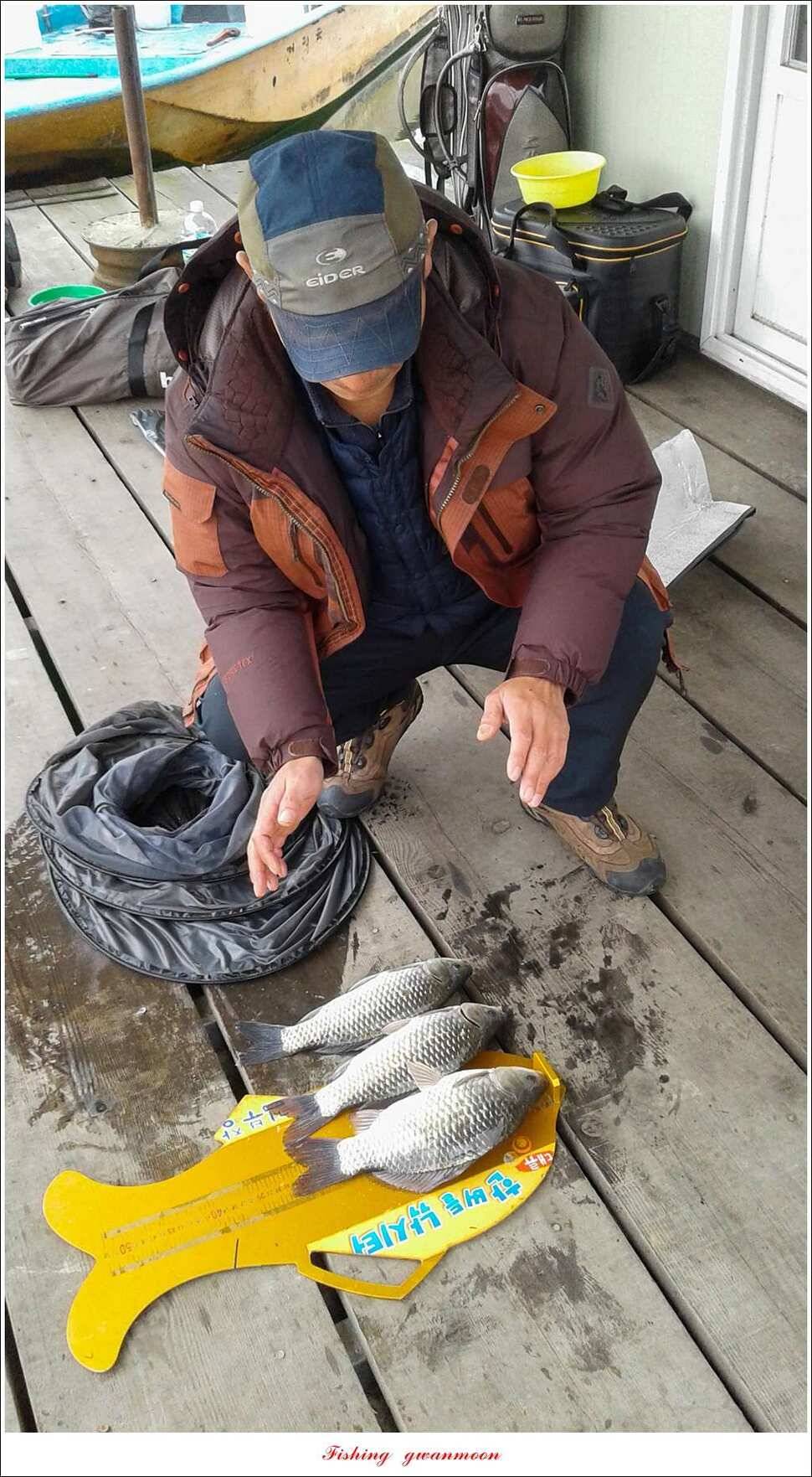 신매 혹부리 445 cm병호 41 cm실리곡한버들두무소 월척 조황 (조황조행기 - 특파원조황)