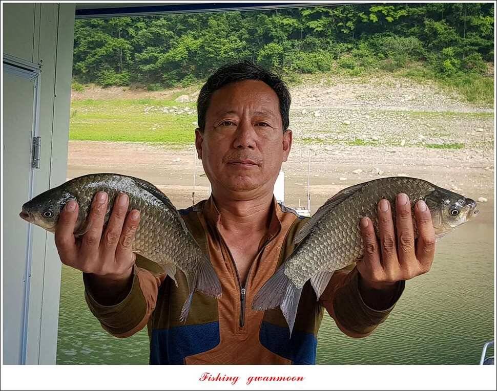 병호 장어 호조황실리곡 마릿수 월척 조황 (조황조행기 - 특파원조황)