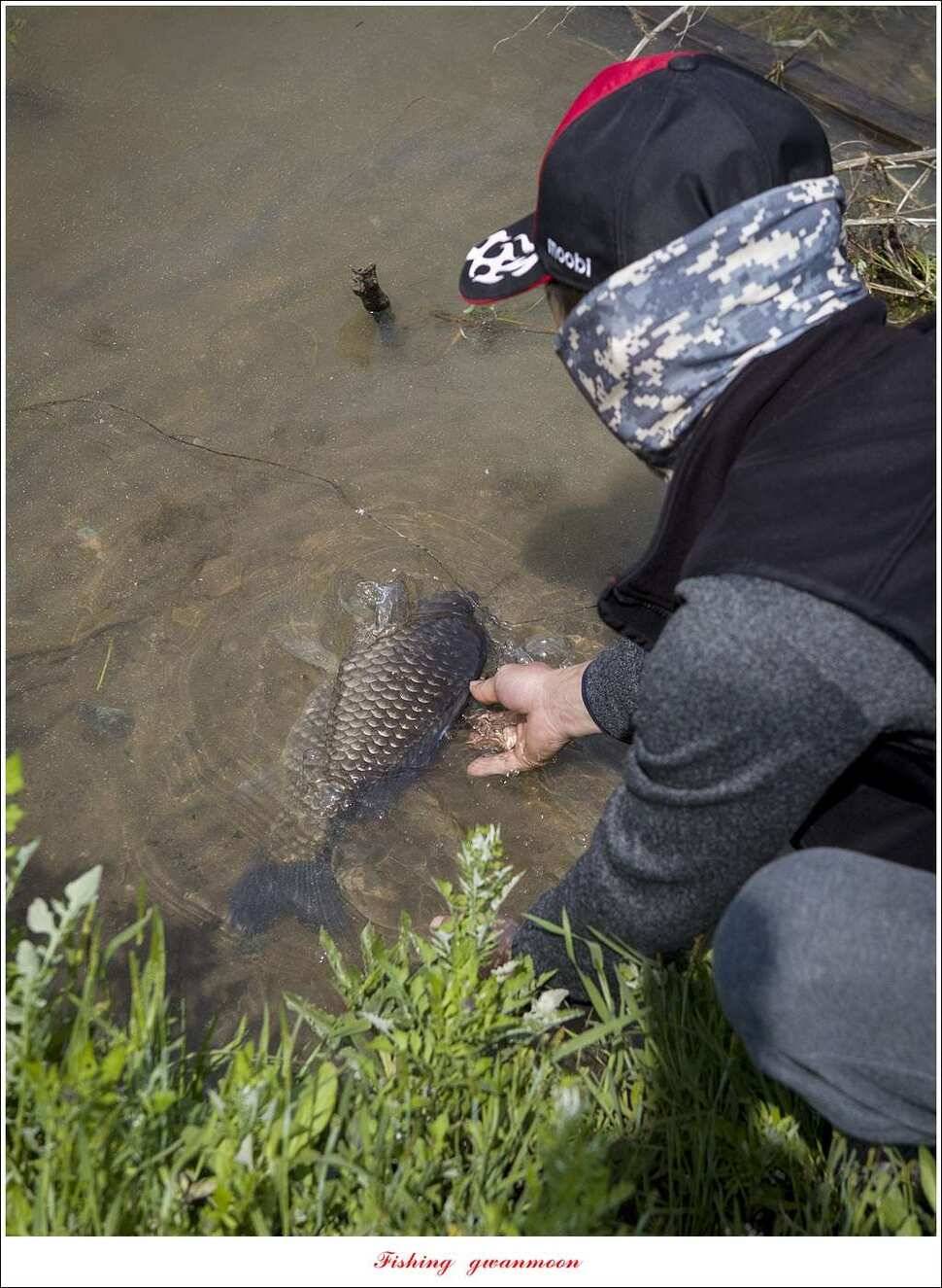 추평지 504 cm485 cm화곡지돌감실리곡 조황 (조황조행기 - 특파원조황)