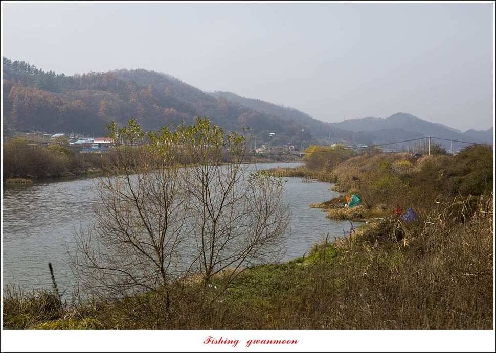 칠성지 사짜 및 월척 조황 (조황조행기 - 특파원조황)