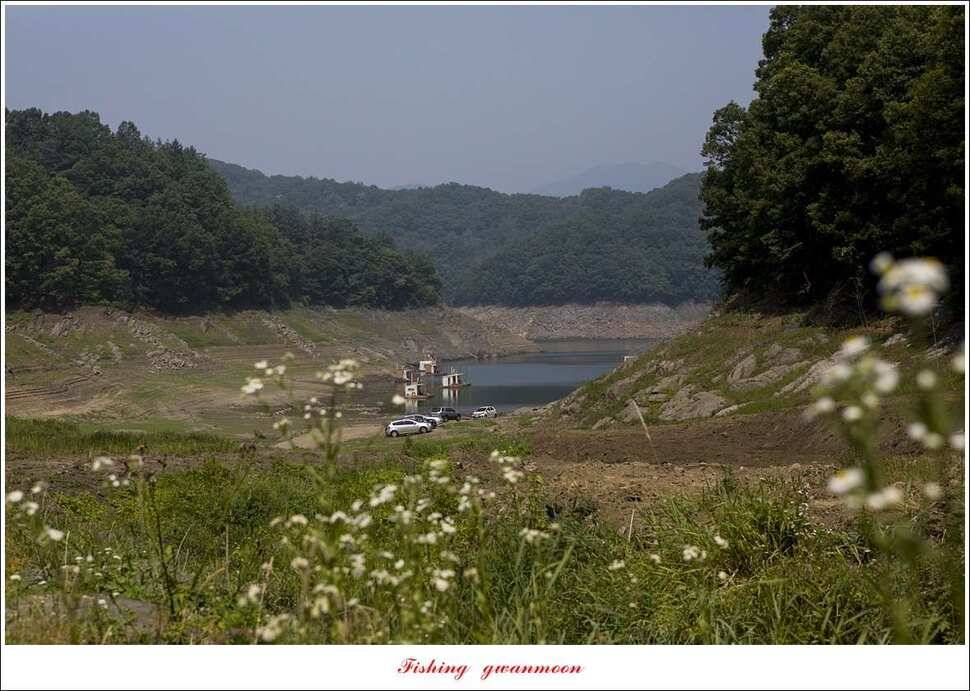 신매 42 cm 외 충주호 조황 (조황조행기 - 특파원조황)