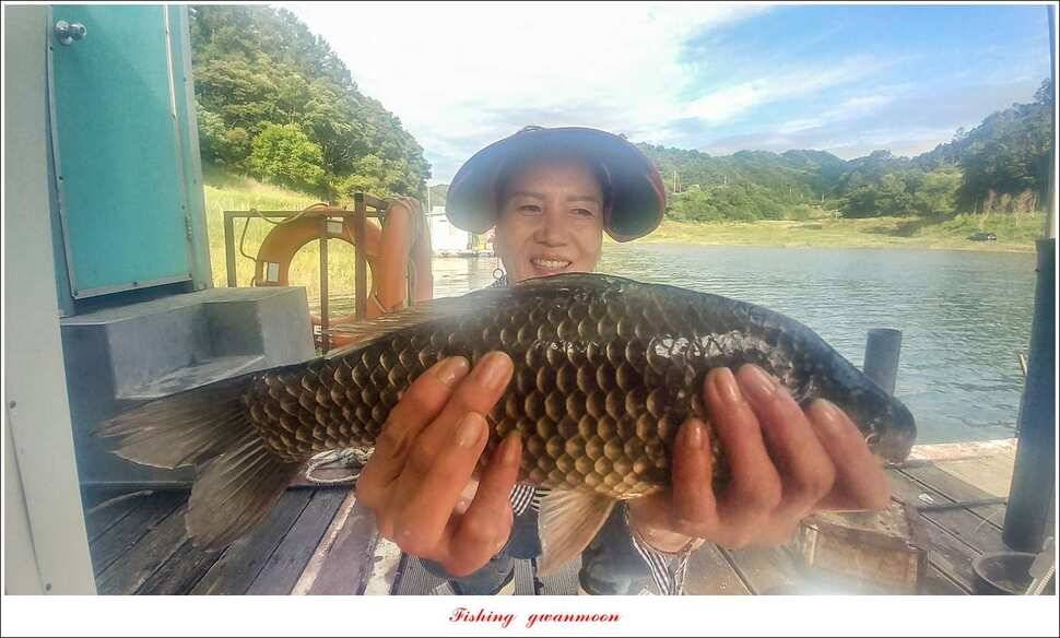 신매 415 cm돌감 41 cm대물 조황 (조황조행기 - 특파원조황)