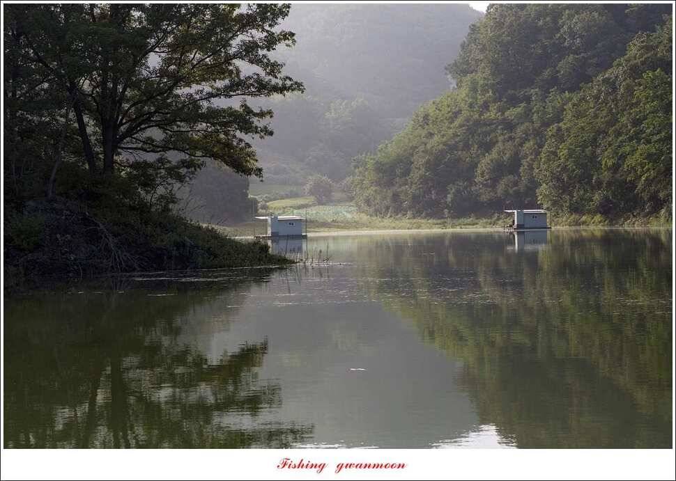 청풍 신리 사짜 및 마릿수 월척칠성지 월척 조황 (조황조행기 - 특파원조황)
