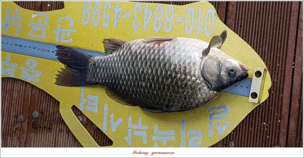 병호돌감실리곡신리칠성지매전지 조황 (조황조행기 - 특파원조황)
