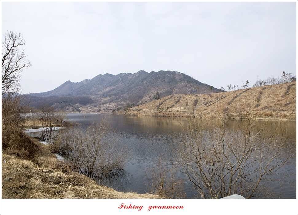 충주괴산권 물낚시 (조황조행기 - 특파원조황)