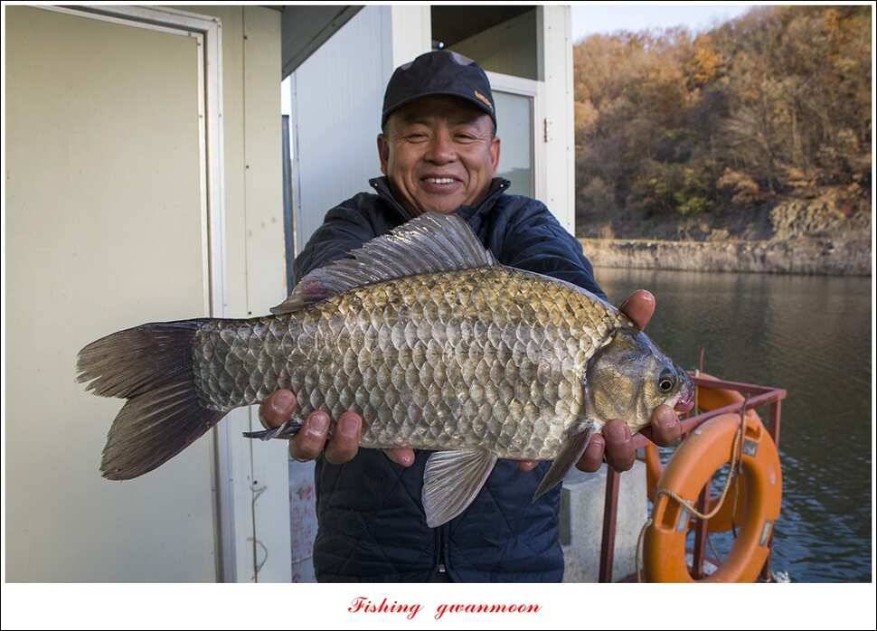 신매 445 cm 대물 조황 (조황조행기 - 특파원조황)