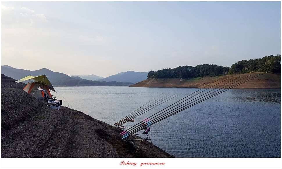 신매 42 cm 외 충주호 조황 (조황조행기 - 특파원조황)