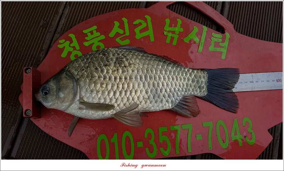 pro_johwang_e8fb0_043353_11942.jpg