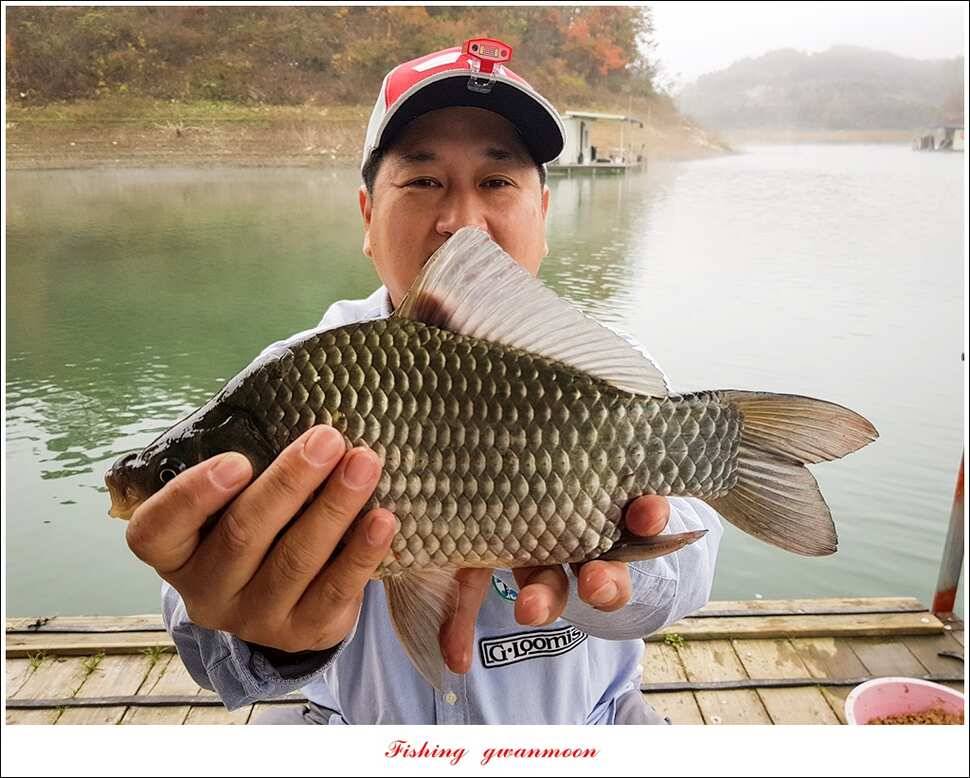 신매 42 cm 돌감 허리급한버들실리곡달천강 월척 조황 (조황조행기 - 특파원조황)