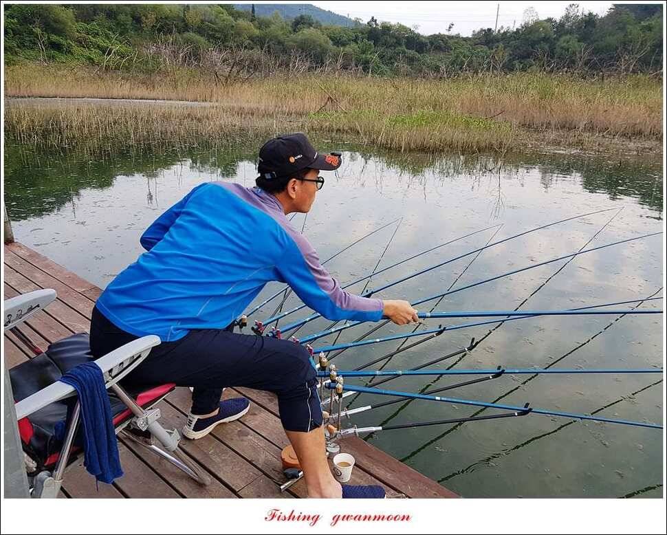 한버들실리곡매전지 조황 (조황조행기 - 특파원조황)