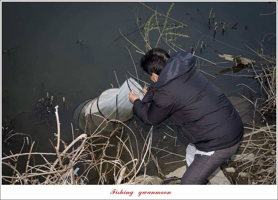 매전지 사짜달천강 사짜추평지 조황 (조황조행기 - 특파원조황)