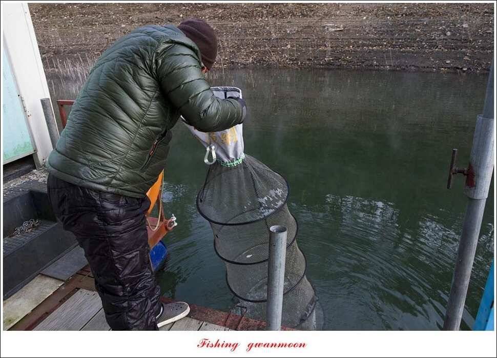 신매 42 cm 돌감 허리급한버들실리곡달천강 월척 조황 (조황조행기 - 특파원조황)