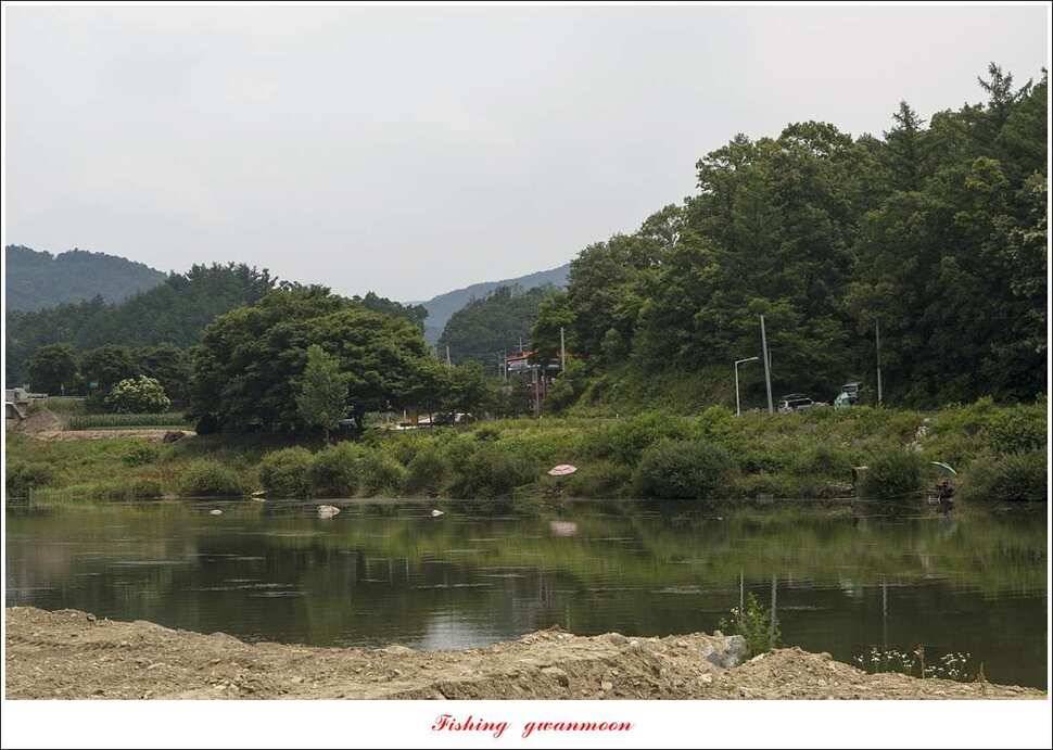 늘푸른 대물 장어한버들신리 월척 조황 (조황조행기 - 특파원조황)