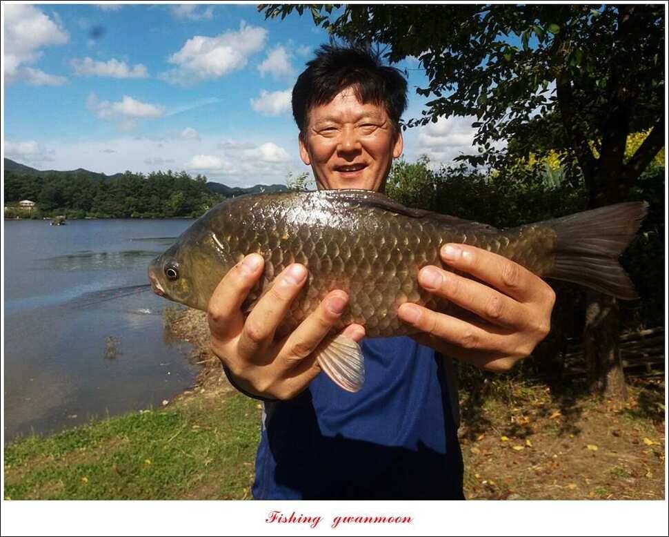 칠성지 사짜화곡지 신매 실리곡 월척 조황 (조황조행기 - 특파원조황)