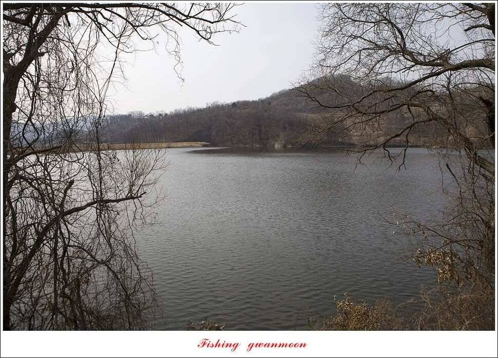 충주괴산권 물낚시 (조황조행기 - 특파원조황)