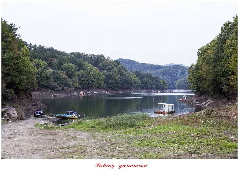 늘푸른실리곡한버들 월척 조황 (조황조행기 - 특파원조황)