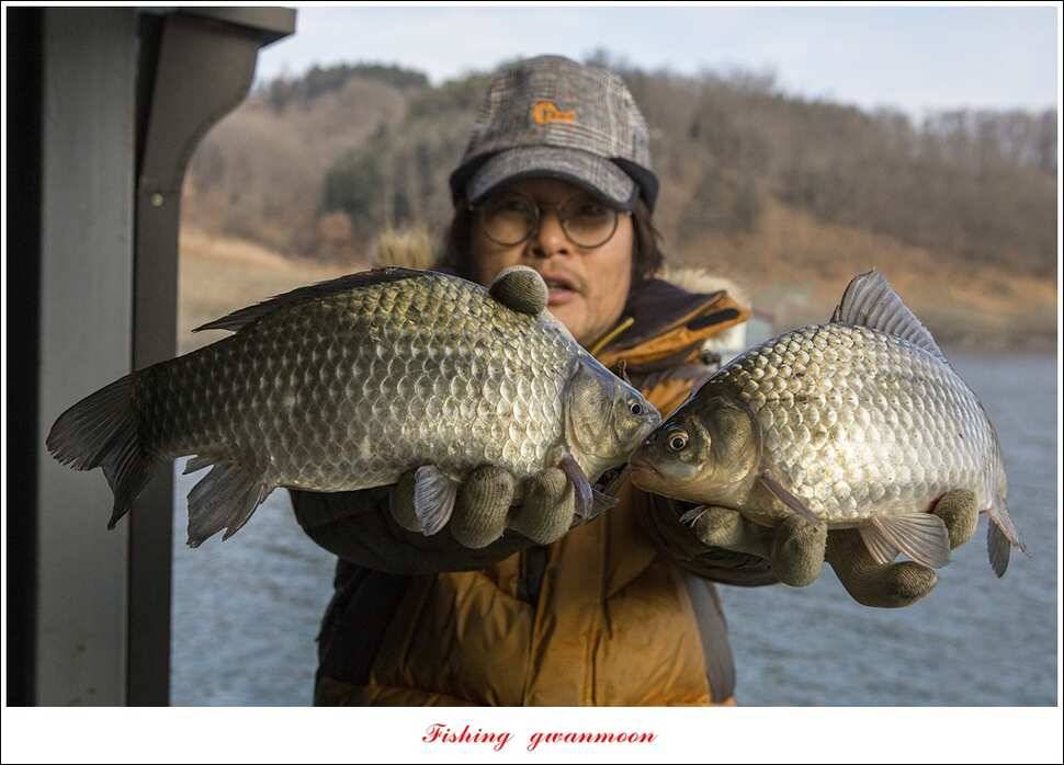 제일 낚시터 월척 조황 (조황조행기 - 특파원조황)