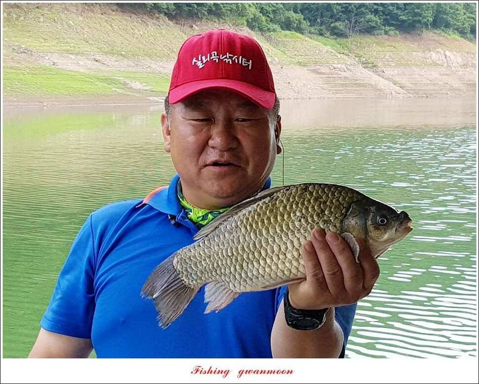 한버들 39 cm37cm실리곡 38 cm 조황 (조황조행기 - 특파원조황)