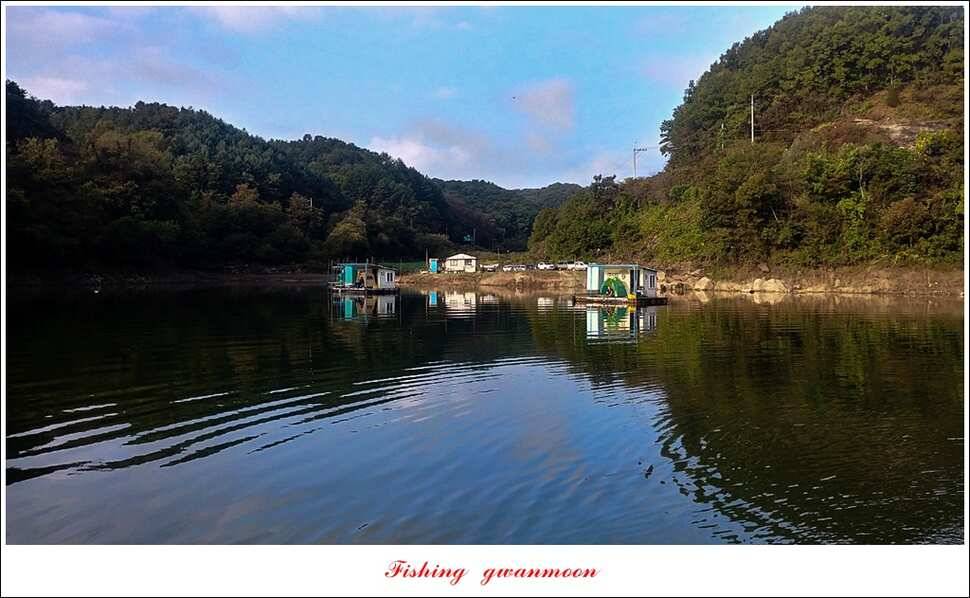 제일 사짜신매돌감 월척 조황 (조황조행기 - 특파원조황)
