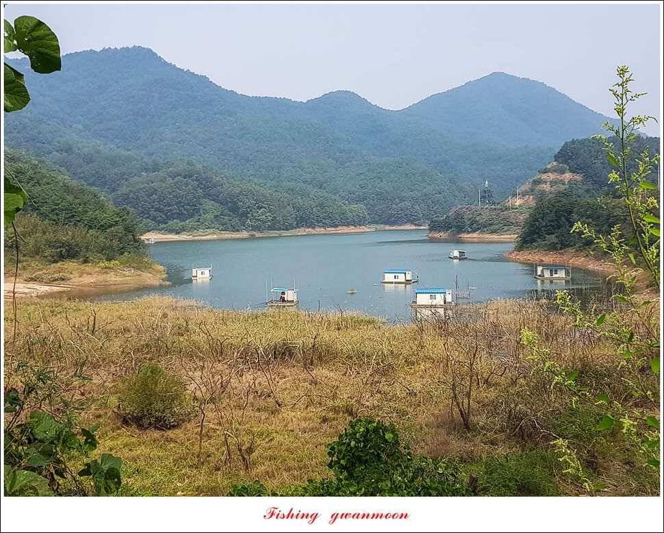 병호실리곡달천강 월척 및 마릿수 조황 (조황조행기 - 특파원조황)