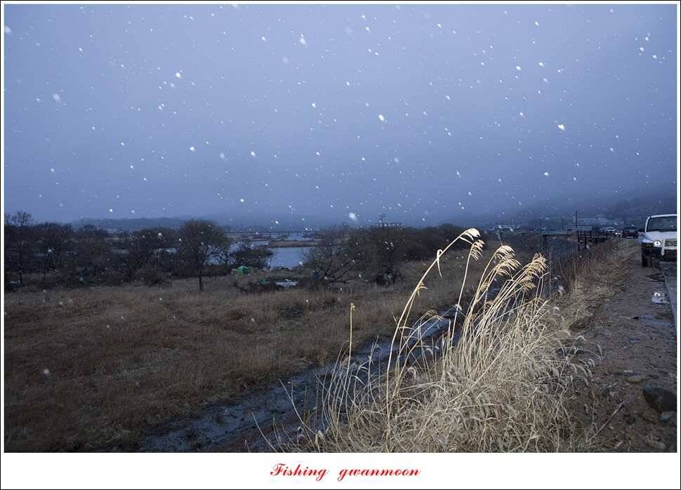 충주괴산권 조황 (조황조행기 - 특파원조황)