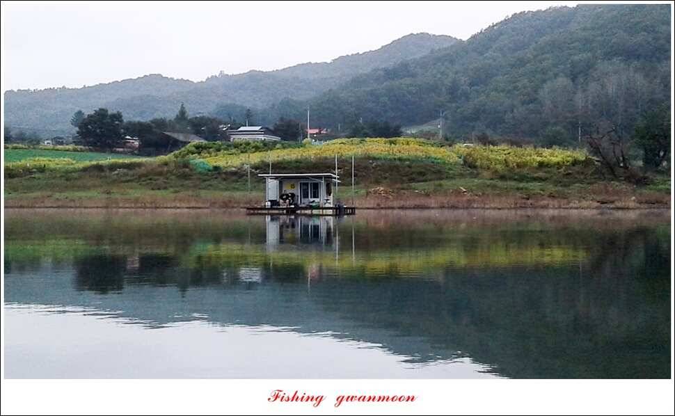 돌감 42cm한버들늘푸른병호달천강 월척 조황 (조황조행기 - 특파원조황)