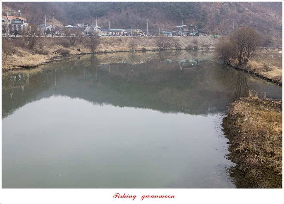 달천강 마릿수 월척화곡지 월척 (조황조행기 - 특파원조황)