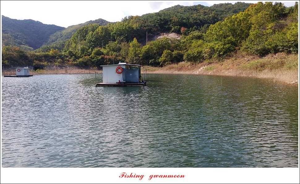 제일 사짜신매돌감 월척 조황 (조황조행기 - 특파원조황)
