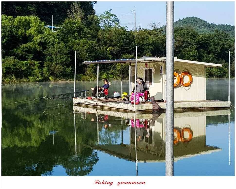 매전지화곡지돌감실리곡한버들 조황 (조황조행기 - 특파원조황)