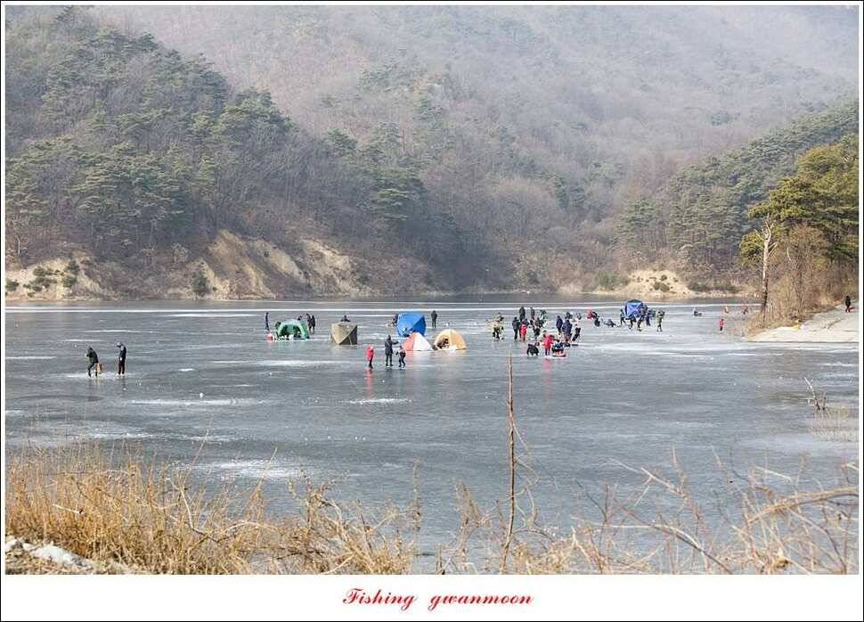 충주권 빙어 낚시 (조황조행기 - 특파원조황)
